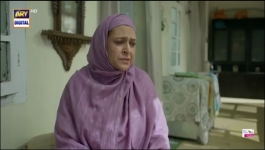Mirza Ki Heer - Episode 36 - 20th August 2026
